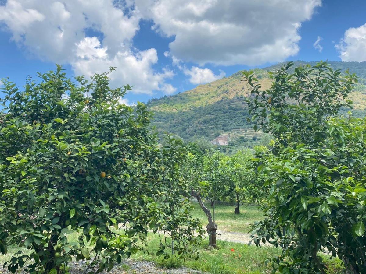 Villa Casa Marietta Forza dʼAgro Esterno foto